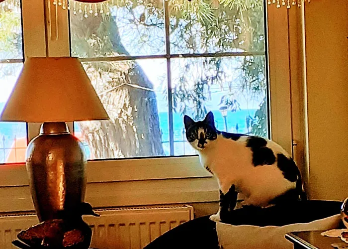 Сasa de vacaciones Aegialis